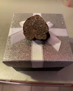Truffe noire du Périgore, Tuber Melanosporum. Idée cadeau.