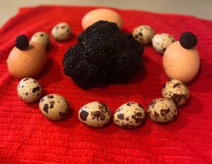 Truffes et oeufs de cailles