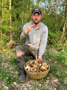 Panier de Morilles communes